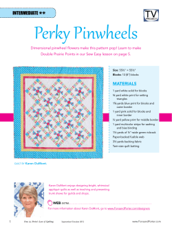 Perky Pinwheels ⁕⁕ IntermedIate