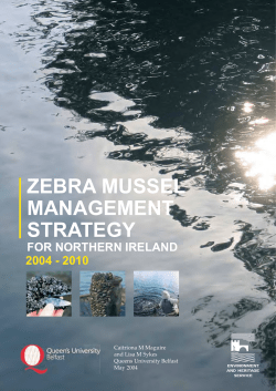 ZEBRA MUSSEL MANAGEMENT STRATEGY FOR NORTHERN IRELAND