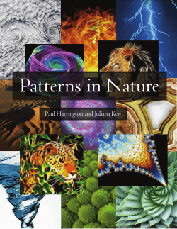 Patterns in Nature Paul Harrington and Juliana Kew