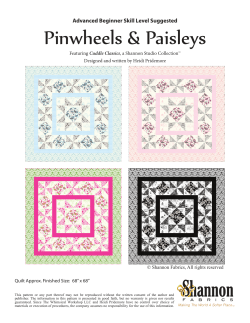 Pinwheels &amp; Paisleys Advanced Beginner Skill Level Suggested