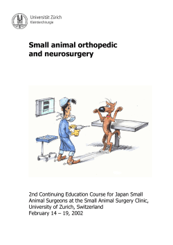 Small animal orthopedic and neurosurgery