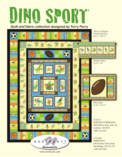 DINO SPORT Quilt and fabric collection designed by Terry Perry