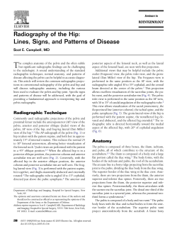 T Radiography of the Hip: Lines, Signs, and Patterns of Disease