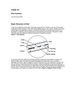 CHEM 107 Hair handout.  Basic Structure of Hair