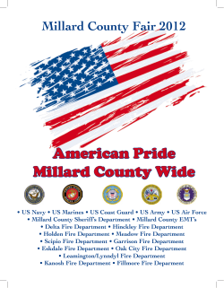 American Pride Millard County Wide Millard County Fair 2012