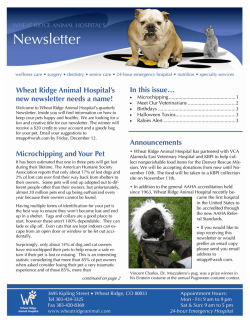 Newsletter In this issue&hellip; Wheat Ridge Animal Hospital&rsquo;s new newsletter needs a name!