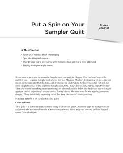 Put a Spin on Your Sampler Quilt • In This Chapter