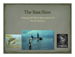 Chasing the Black Bass species of  North America