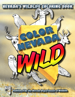 COLOR A NEVAD Nevada’s Wildlife ColoriNg Book