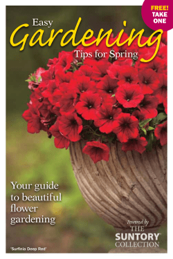 Gardening Your guide to beautiful flower