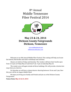 Middle Tennessee Fiber Festival 2014  8