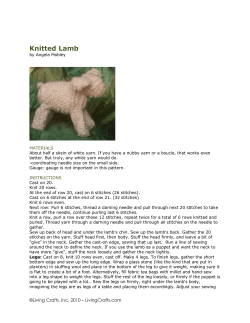 Knitted Lamb