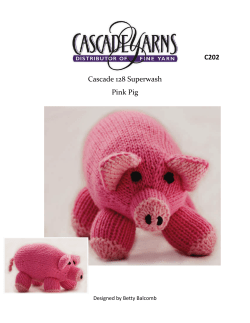 Cascade 128 Superwash  Pink Pig  C202  Designed by Betty Balcomb 