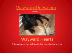 WaywardDogs.com  Wayward Hearts