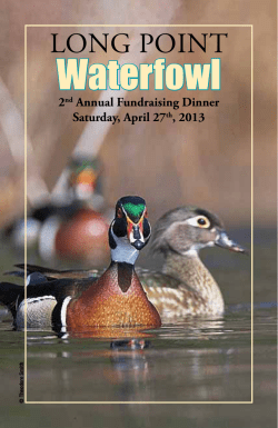 Waterfowl Long Point 2 Annual Fundraising Dinner