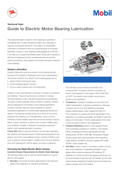 Guide to Electric Motor Bearing Lubrication Technical Topic
