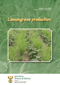 Lemongrass production agriculture, forestry &amp; fisheries ESSENTIAL OIL CROPS