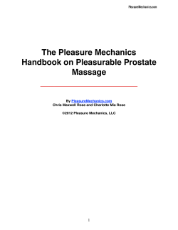 The Pleasure Mechanics Handbook on Pleasurable Prostate Massage 1