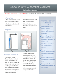 3-D SONIC INTERNAL PROSTATE MASSAGER Prostate Massage Instructions Manual
