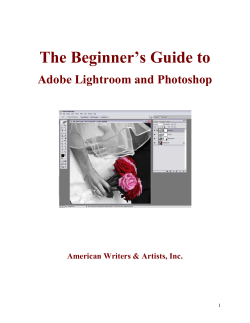 The Beginner’s Guide to Adobe Lightroom and Photoshop