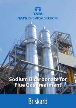 Sodium Bicarbonate for Flue Gas Treatment