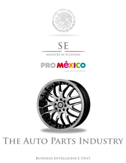 The Auto Parts Industry Business Intelligence Unit
