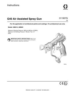 G40 Air Assisted Spray Gun Instructions 311937G
