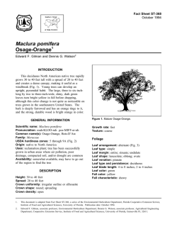 Document 110189