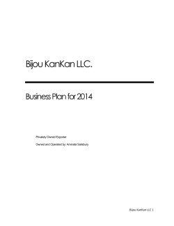 Bijou KanKan LLC. Business Plan for 2014  