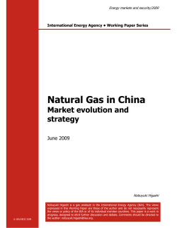 Natural Gas in China Market evolution and strategy June 2009