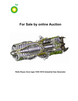 For Sale by online Auction