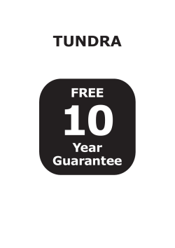 10 TUNDRA FREE Year