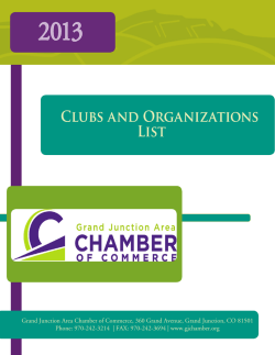 2013 Clubs and Organizations List