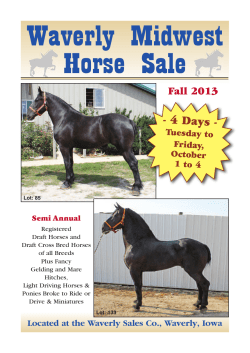 Waverly Midwest Horse Sale - 4 Days - Fall 2013