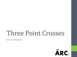 Three Point Crosses Genetic Mapping