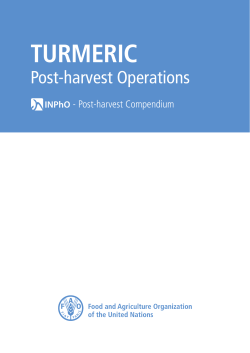 TURMERIC Post-harvest Operations  - Post-harvest Compendium