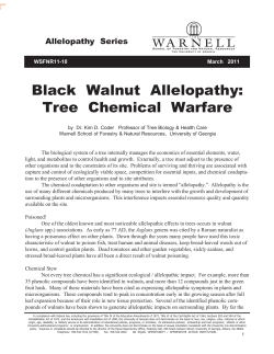Black  Walnut  Allelopathy: Tree  Chemical  Warfare