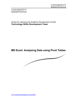 MS Excel: Analysing Data using Pivot Tables Technology Skills Development Team