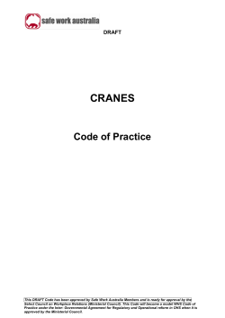 CRANES Code of Practice DRAFT