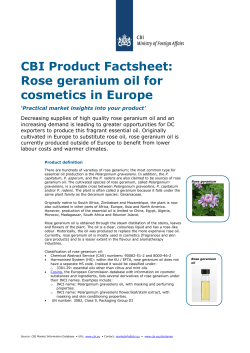 CBI Product Factsheet: Rose geranium oil for cosmetics in Europe