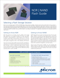 NOR | NAND Flash Guide Selecting a Flash Storage Solution