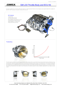 GM LS3 Throttle Body and ECU Kit OMEX