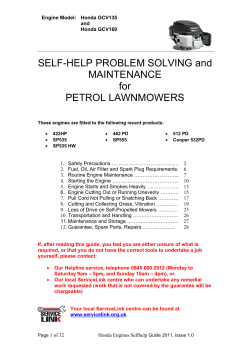 SELF-HELP PROBLEM SOLVING and MAINTENANCE for PETROL LAWNMOWERS