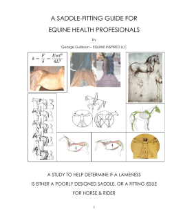 A SADDLE-FITTING GUIDE FOR EQUINE HEALTH PROFESIONALS