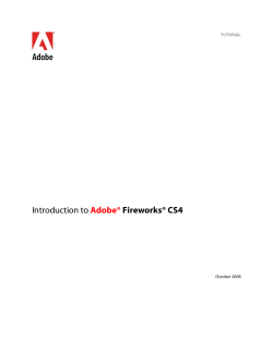Introduction to Adobe® Fireworks® CS4 TUTORIAL