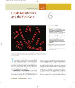 6 Lipids, Membranes, and the First Cells 1