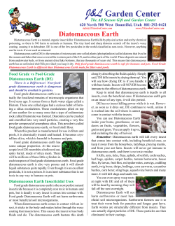 J&amp;L  Diatomaceous Earth The All Season Gift and Garden Center