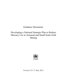Guidance Document: Developing a National Strategic Plan to Reduce