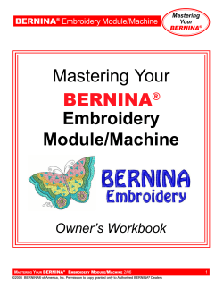 Mastering Your Embroidery Module/Machine BERNINA