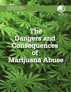 The Dangers and Consequences of